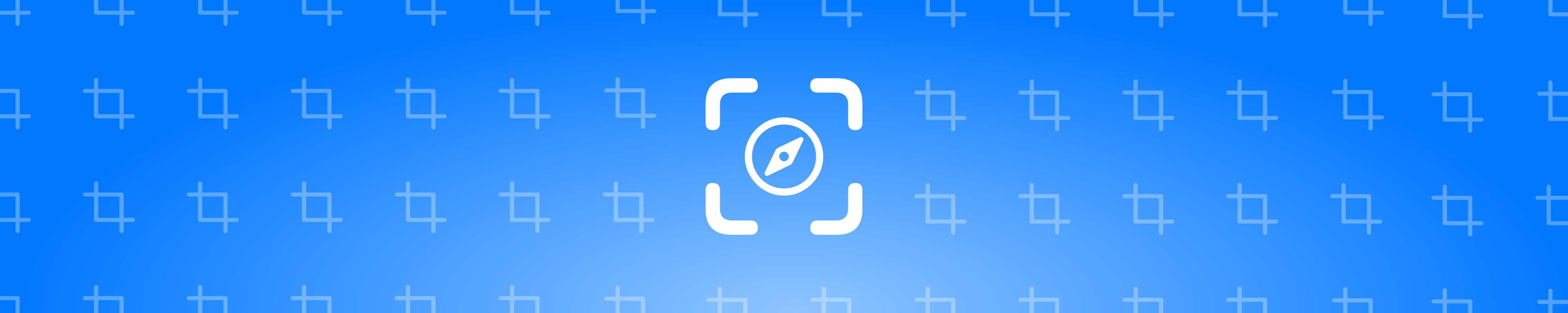 Safari Screenshot Icon