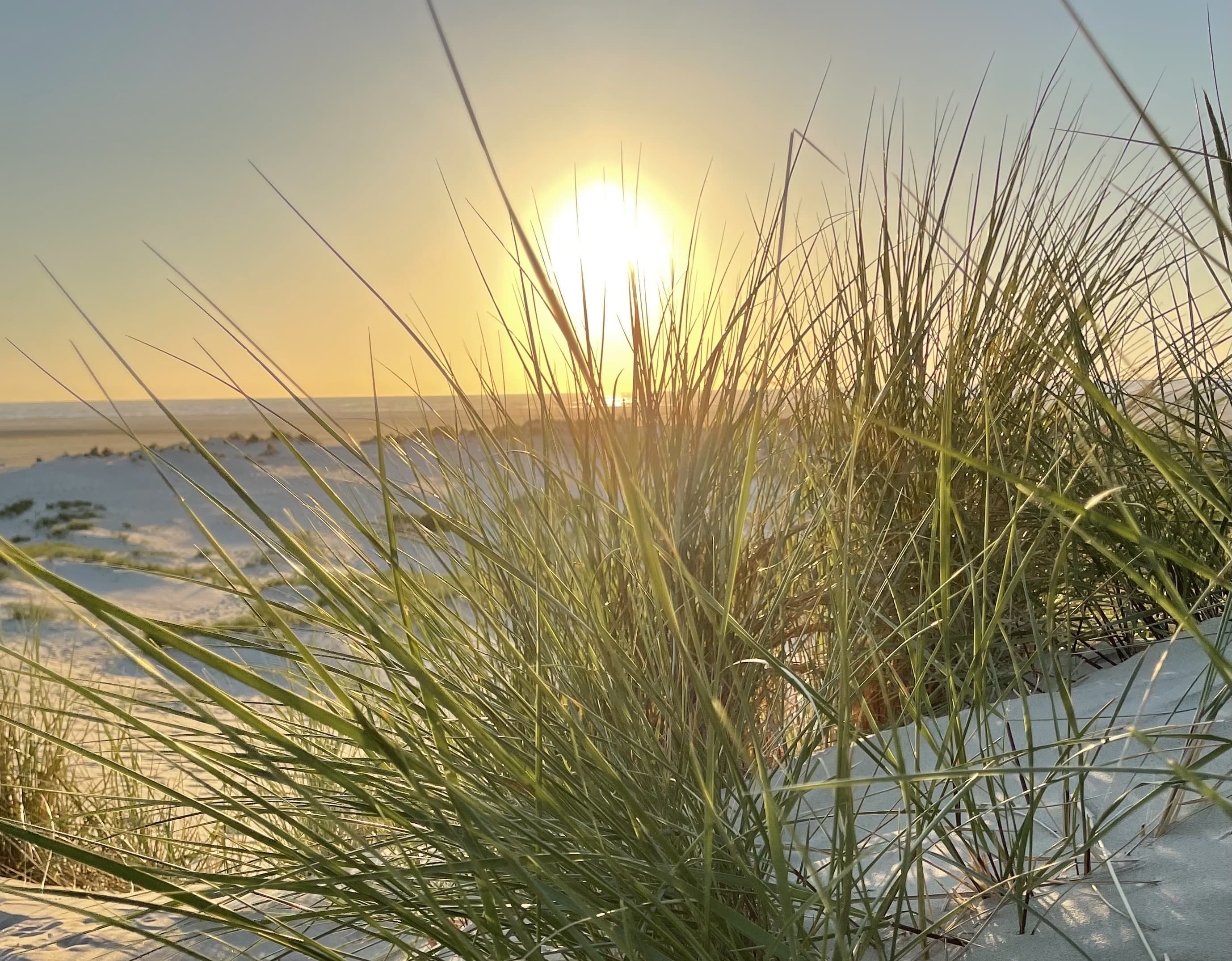 Sunset in the dunes