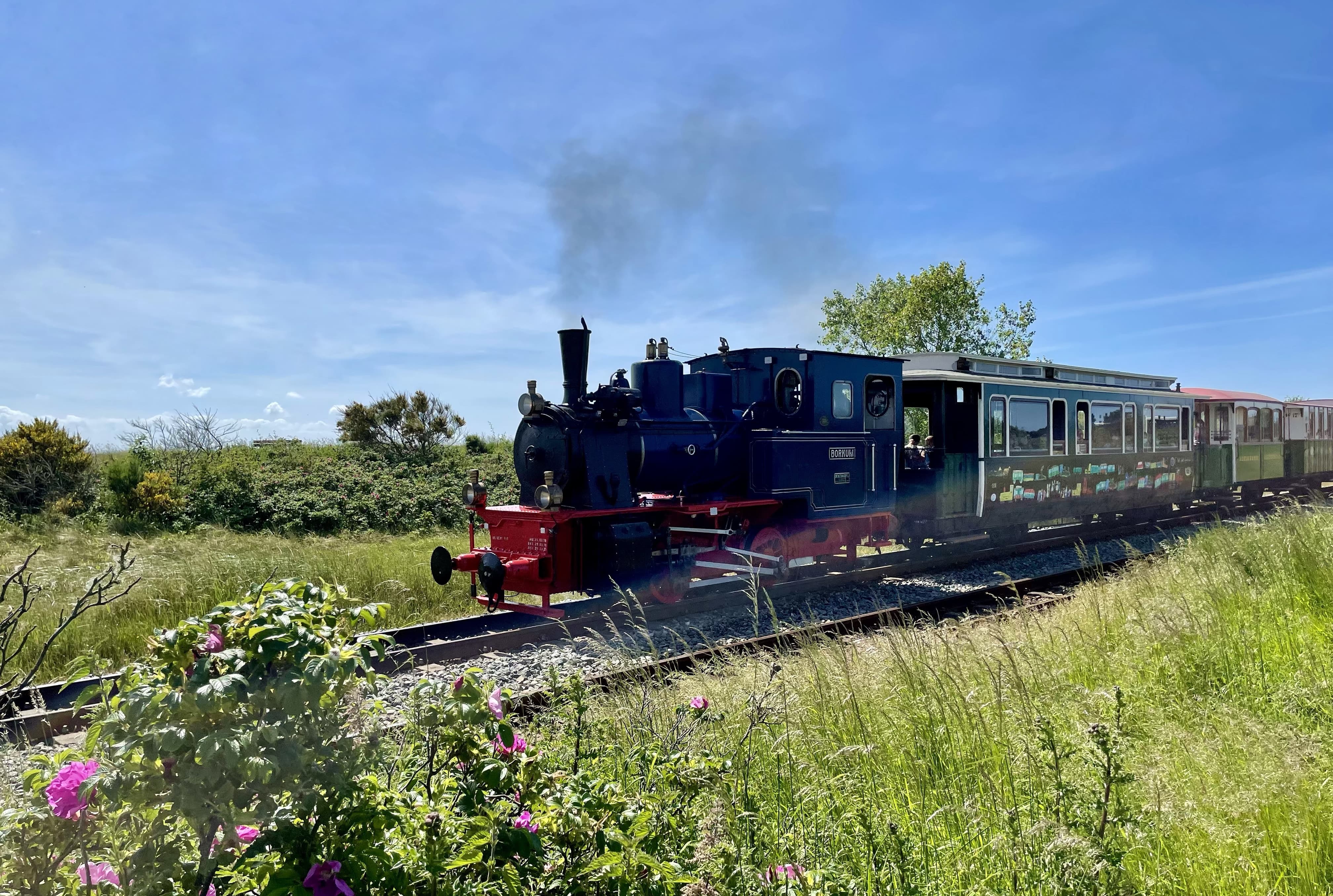 Small steam train