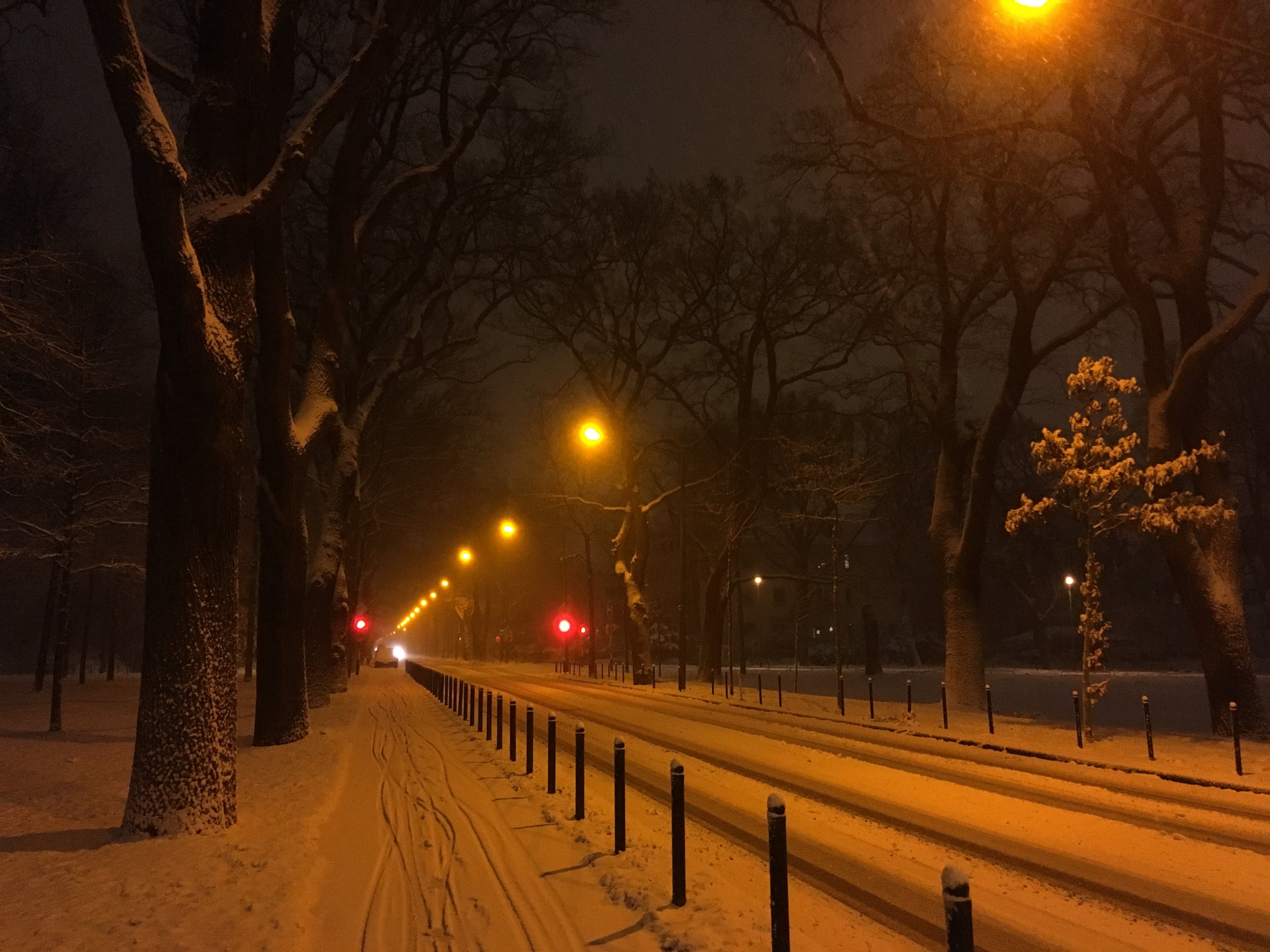 Street with snow on it