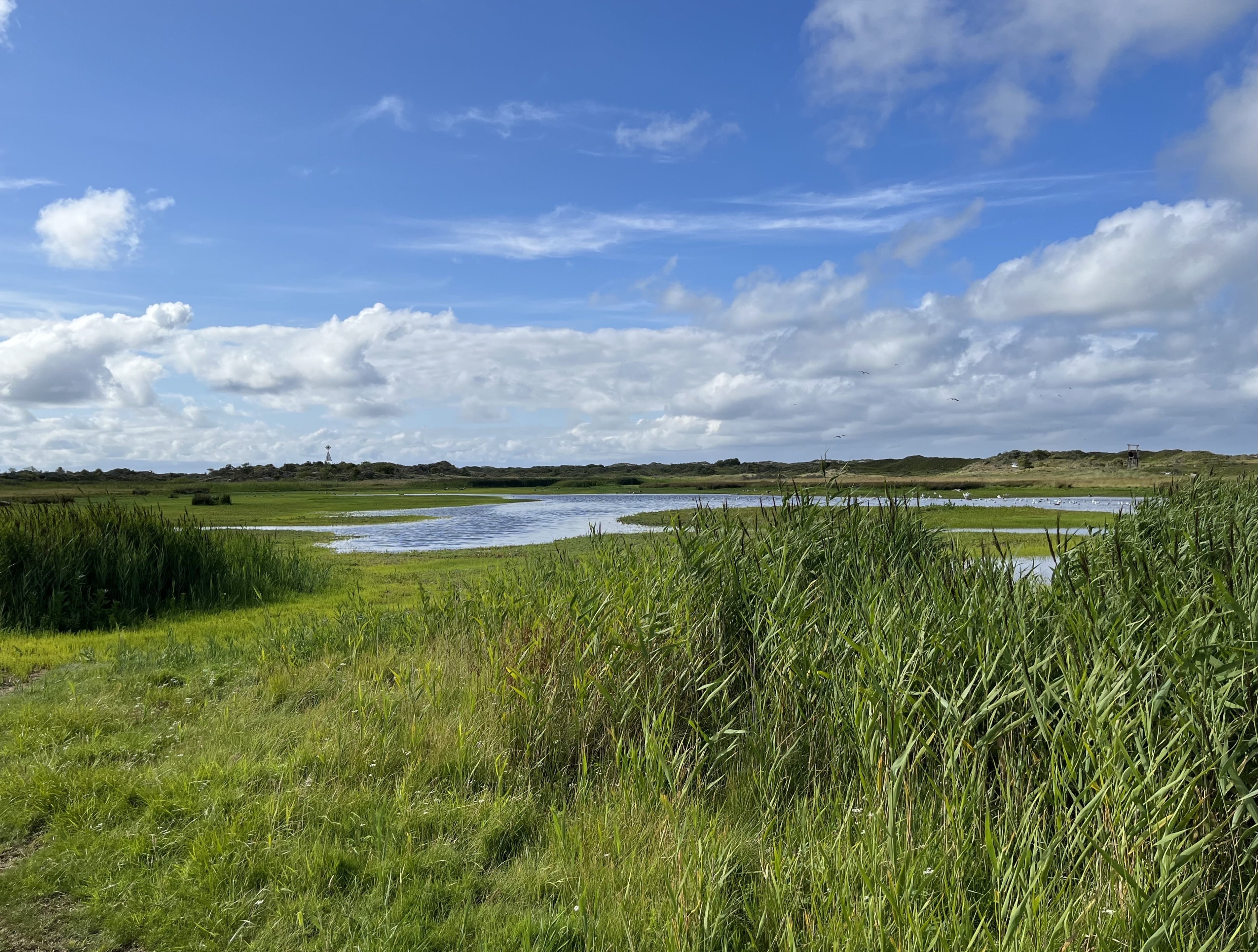Little lake at the Osterhook area of Baltrum